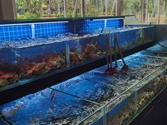 -佰园全日西餐厅-厦门佰翔软件园酒店