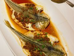 鸡油蒸仙子鱼-悦海堂(金融街购物中心店)