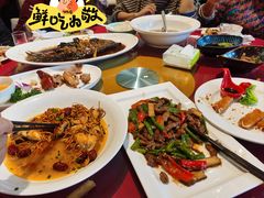 -梧桐人家中国太平国际健康颐养社区