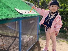 -廊坊固安福朋喜来登酒店