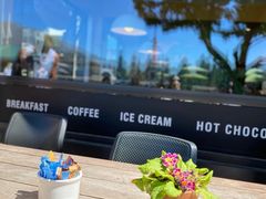 -Patagonia Chocolates(皇后镇店)