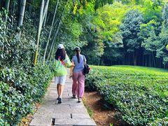 -敬亭山风景名胜区