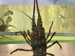 -碗中海·蒸汽海鲜·桑拿鸡(岭南天地店)