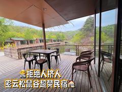 -欢乐松鼠谷