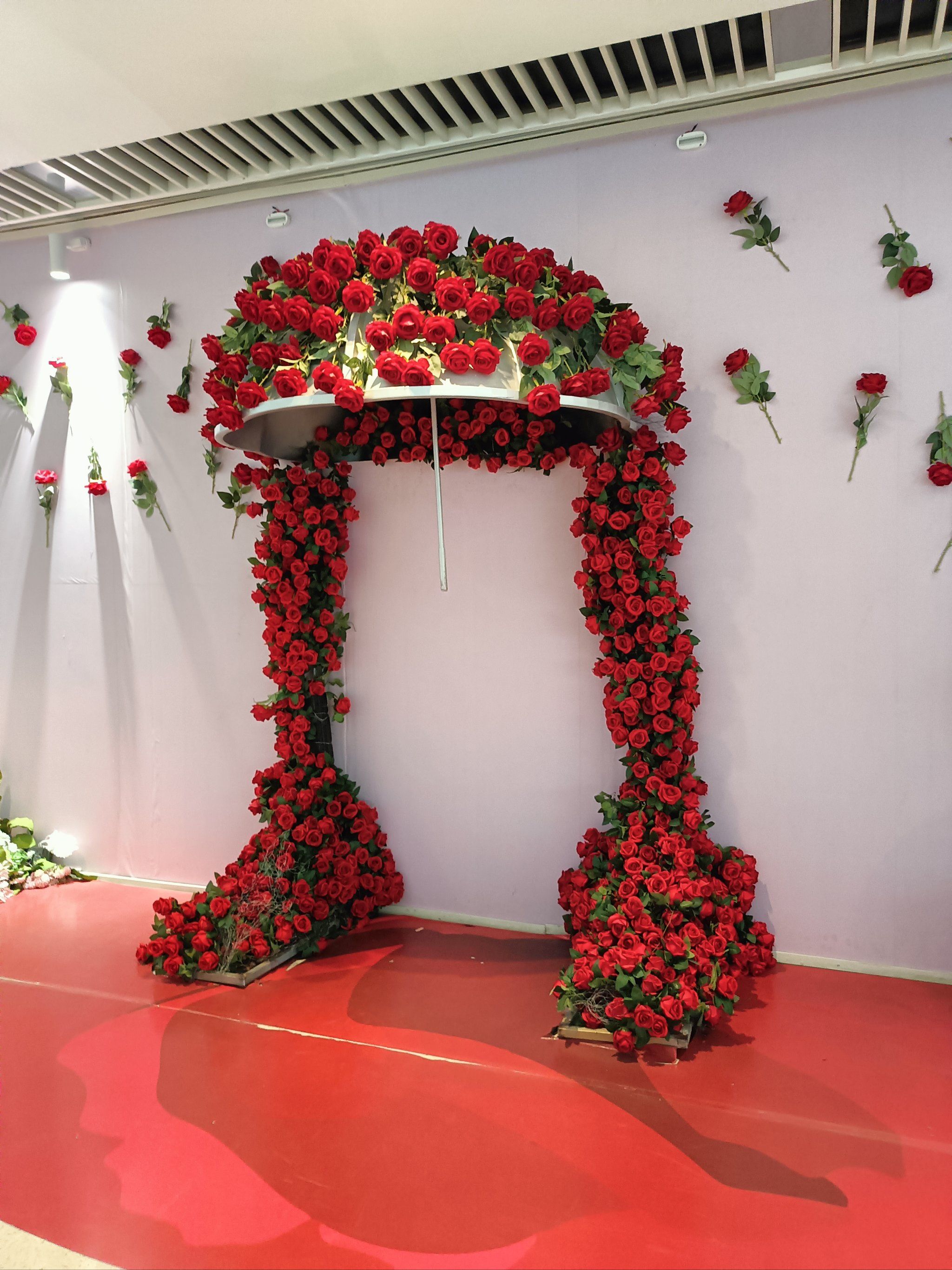 玫瑰花墙美翻天