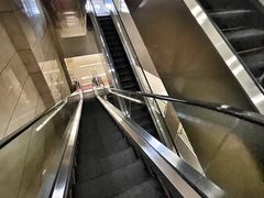 -首都医科大学附属北京天坛医院