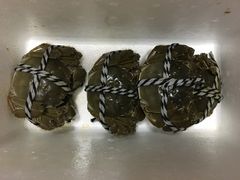 -喜洋洋蟹庄(阳澄湖店)