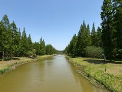 -黄海国家森林公园