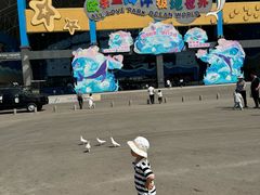-泉城欧乐堡海洋极地世界