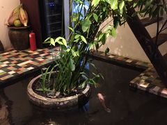 -Cuc Gach Quan Restaurant