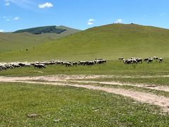 -塞罕坝国家级自然保护区