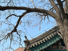 -张学良旧居陈列馆