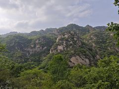 -大岭沟猕猴桃谷风景区