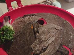 -二荆条·蜀鲜汇城市森林火锅