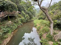 -野象谷景区