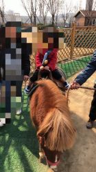 -萌宠亲子动物乐园(槐房万达店)