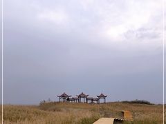 -金塔沙漠胡杨林景区