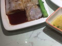 -南枝记