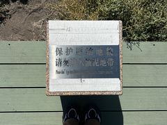 -黑油山景区