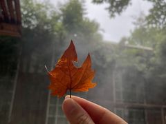 -春晖园度假酒店温泉