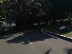 -广东茂名森林公园