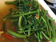 空心菜-Daddy Nimman Chiang Mai