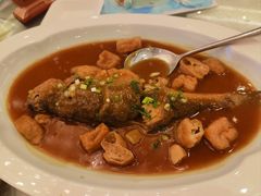 黄鱼烧豆腐-顺峰(南二环店)