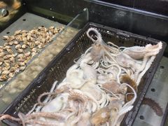 -旺顺阁海鲜广场(亚运村店)