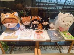 -柴务处·柴犬主题狗咖