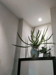 -香秀空间科技抗衰·美容中心