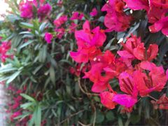 iphone_upload_pic-铁路文化公园