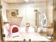 -Double Rui宠物酒店