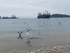 -海驴岛(荣成市)