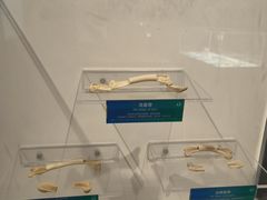 -生命奥秘博物馆