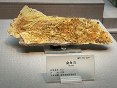 -湖南省地质博物馆