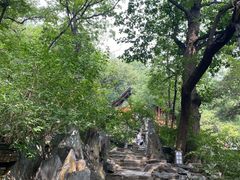 -大觉寺-停车场