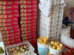 -南汇新场正宗水蜜桃采摘