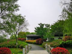 -尚贤河湿地