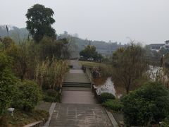 -张坝桂圆林公园