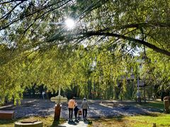 -长春公园(普阳街道)