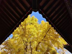 -承恩寺
