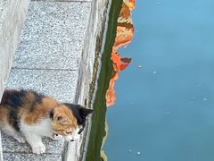 -南京金牛湖风景区