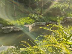 -云溪植物园