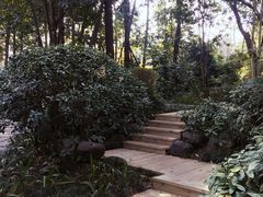 -青城道汤池
