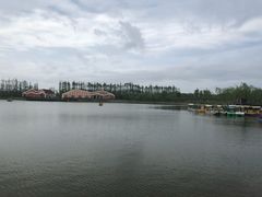 -上海长兴岛郊野公园