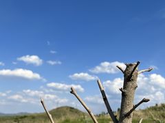 -梧桐餐厅(泉城路店)