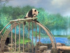 -杭州野生动物世界