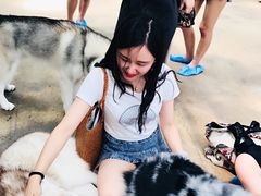 -TrueLove @ Neverland (Husky Cafe)