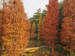 -云溪植物园