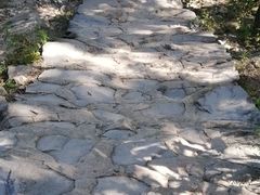 -北京鹫峰国家森林公园